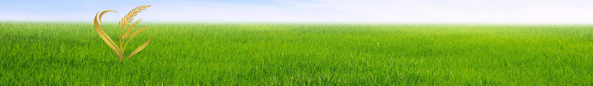 Могилевские семена трав ОАО